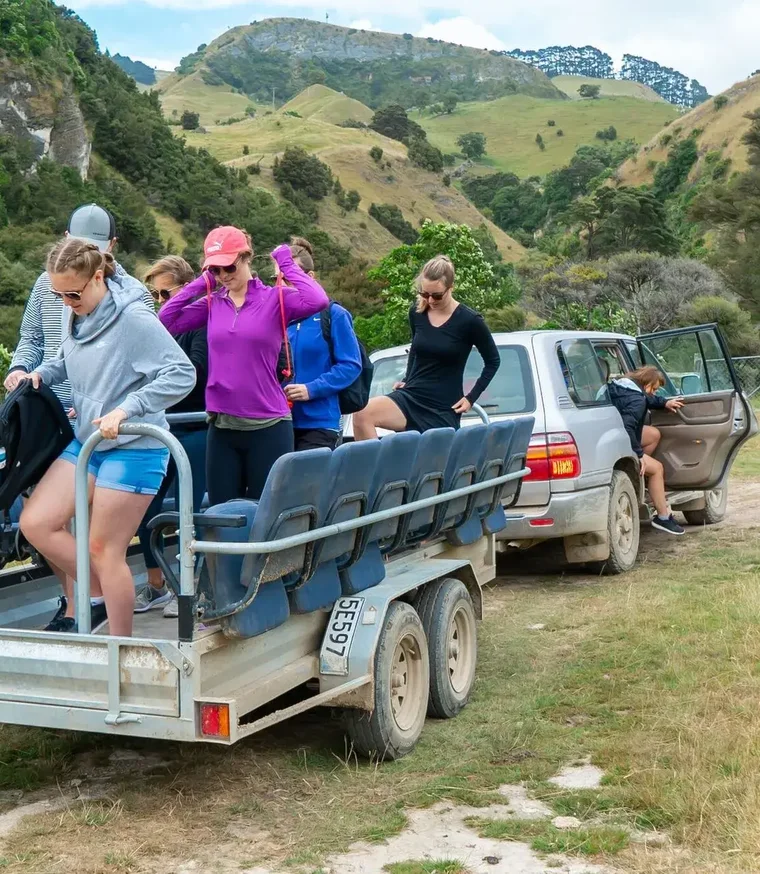 patuna-chasm-farm-ride-wellington.webp