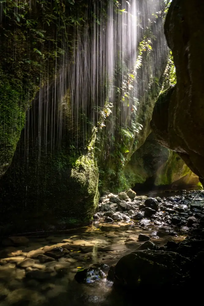 patuna-chasm-walk-wellington.webp
